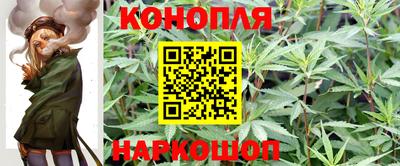 гашик Абакан