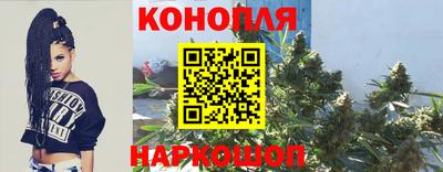 гашик Абакан