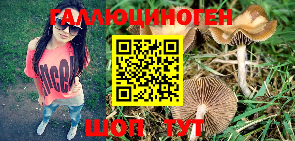 Псилоцибиновые грибы мицелий Альметьевск