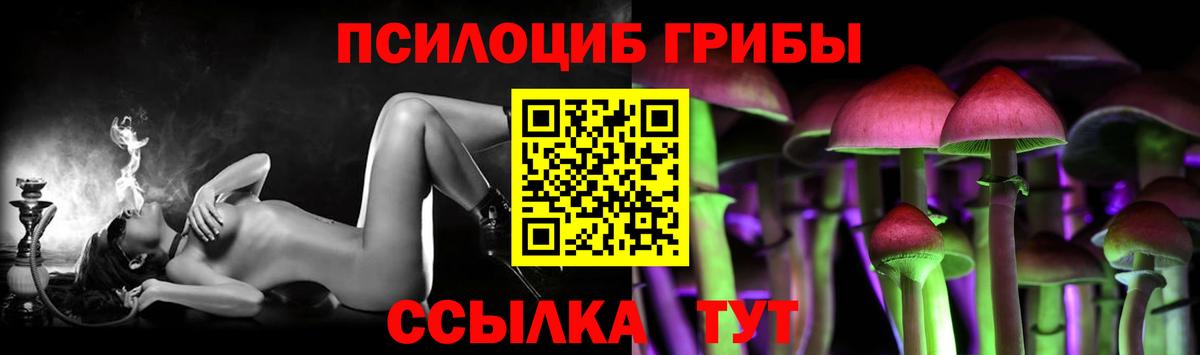 Псилоцибиновые грибы Cubensis  Вход с VPN  Альметьевск 